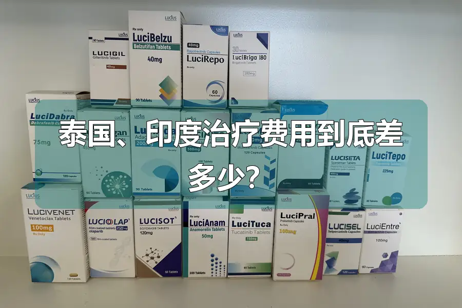 泰国、印度治疗费用到底差多少?